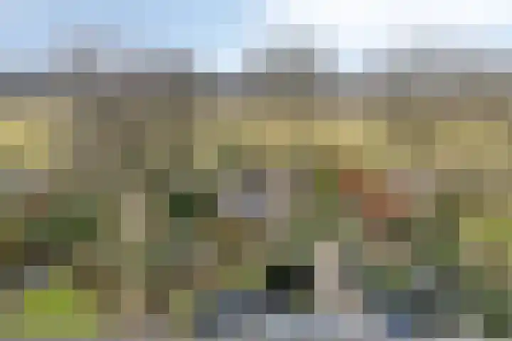 Raaimoeren 63 Breda thumbnail 29