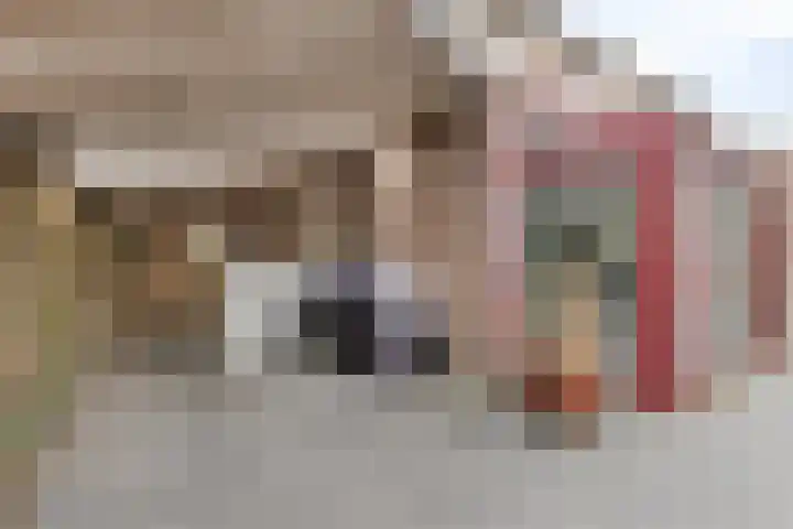 Raaimoeren 63 Breda thumbnail 33