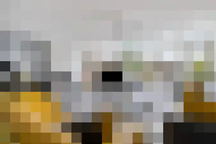 Raaimoeren 63 Breda thumbnail 4