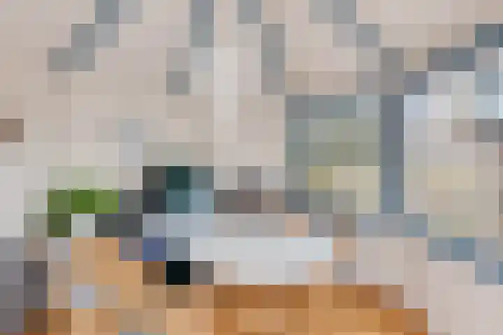 Raaimoeren 63 Breda thumbnail 40