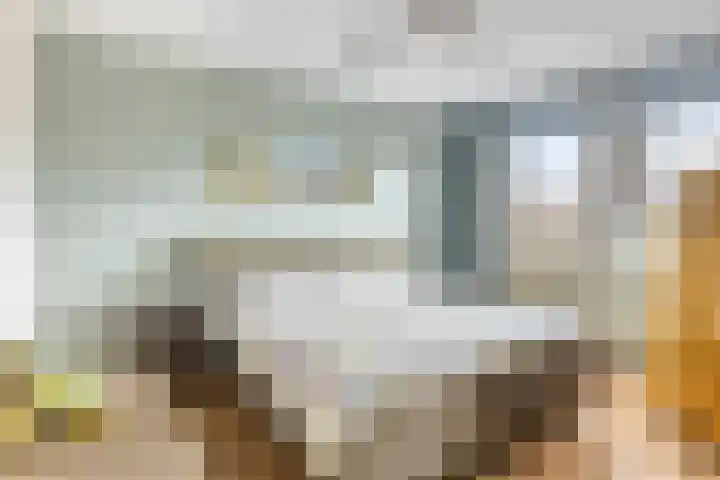 Raaimoeren 66 Breda thumbnail 16