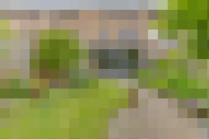 Raaimoeren 66 Breda thumbnail 27
