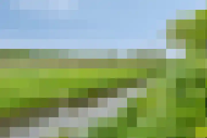 Raaimoeren 66 Breda thumbnail 32