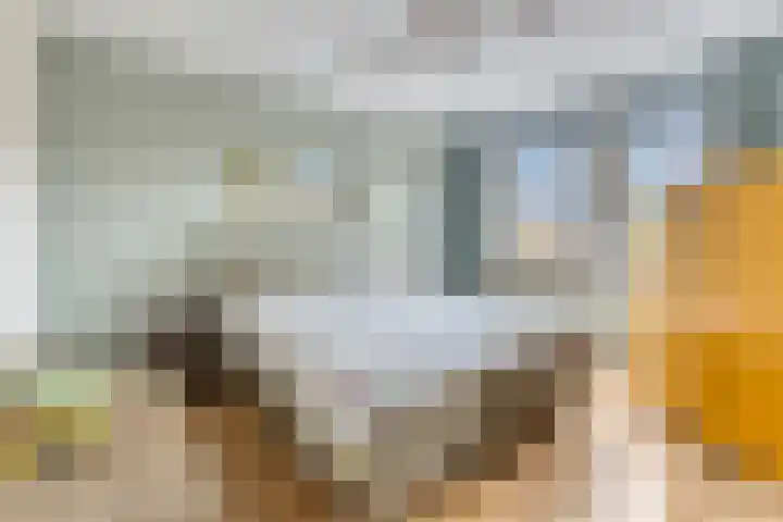 Raaimoeren 66 Breda thumbnail 4