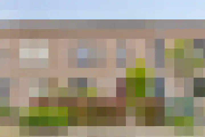 Raaimoeren 66 Breda thumbnail 40