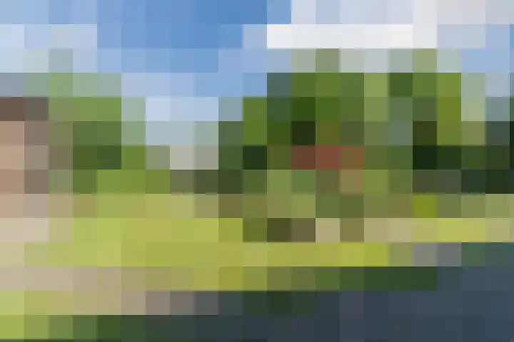 Raakeindse Kerkweg 71 b10 Molenschot thumbnail 27