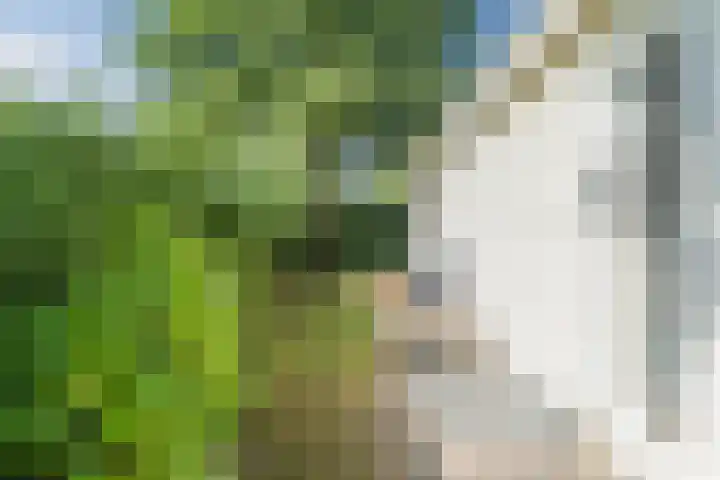 Raakeindse Kerkweg 71 b10 Molenschot thumbnail 32