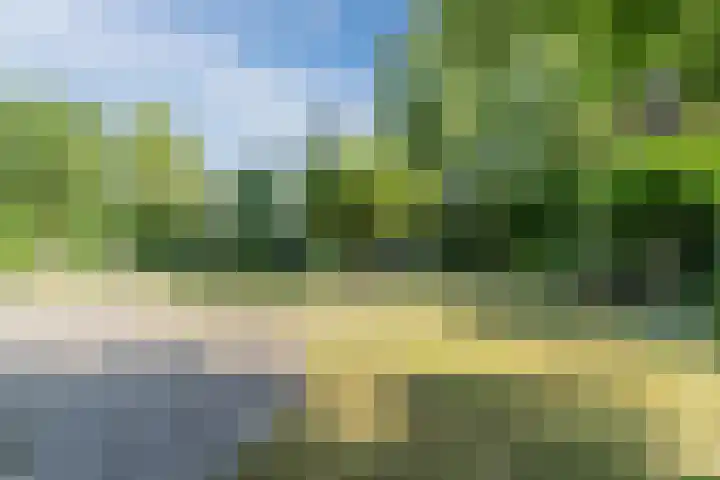 Raakeindse Kerkweg 71 b10 Molenschot thumbnail 33