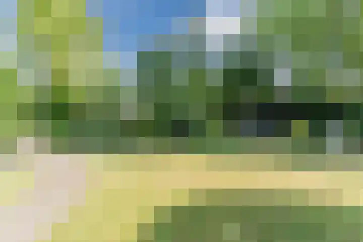 Raakeindse Kerkweg 71 b10 Molenschot thumbnail 34