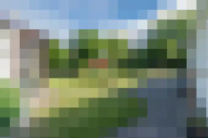 Raakeindse Kerkweg 71 b10 Molenschot thumbnail 37