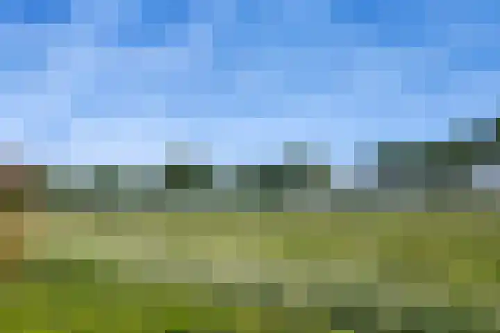 Raakeindse Kerkweg 71 b133 Molenschot thumbnail 18