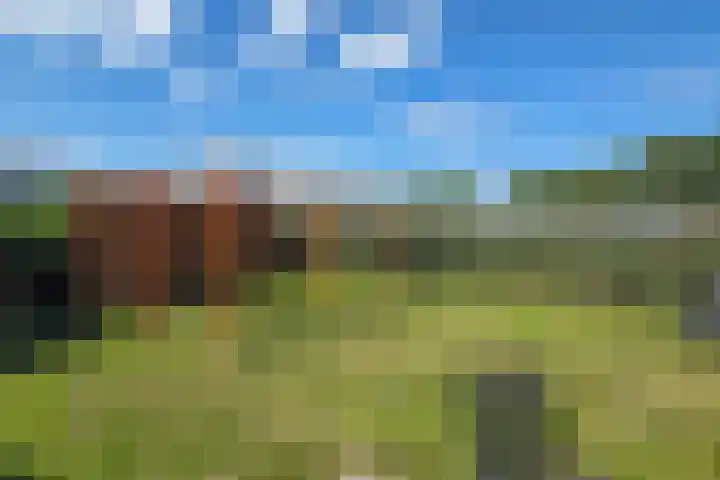 Raakeindse Kerkweg 71 b133 Molenschot thumbnail 25