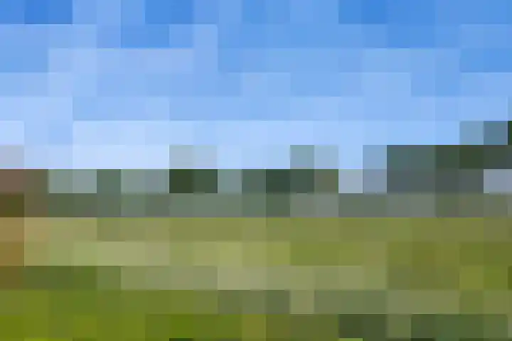 Raakeindse Kerkweg 71 b133 Molenschot thumbnail 26