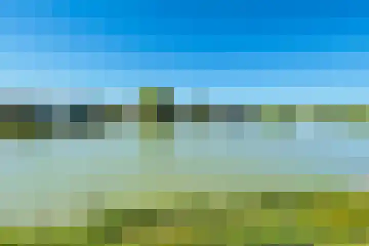 Raakeindse Kerkweg 71 b133 Molenschot thumbnail 29