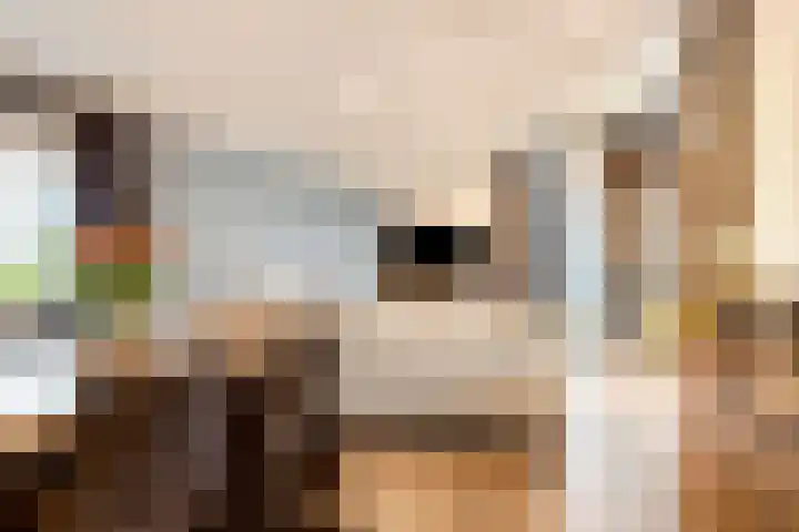 Raakeindse Kerkweg 71 b133 Molenschot thumbnail 6