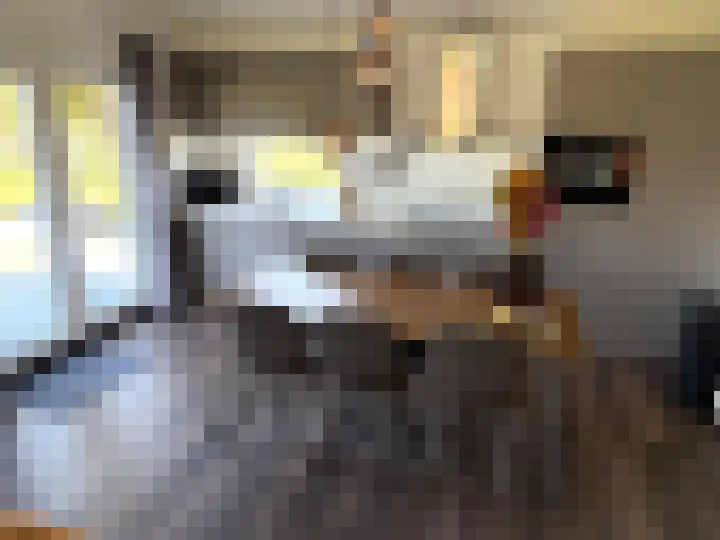 Raakeindse Kerkweg 71 b143 Molenschot thumbnail 21