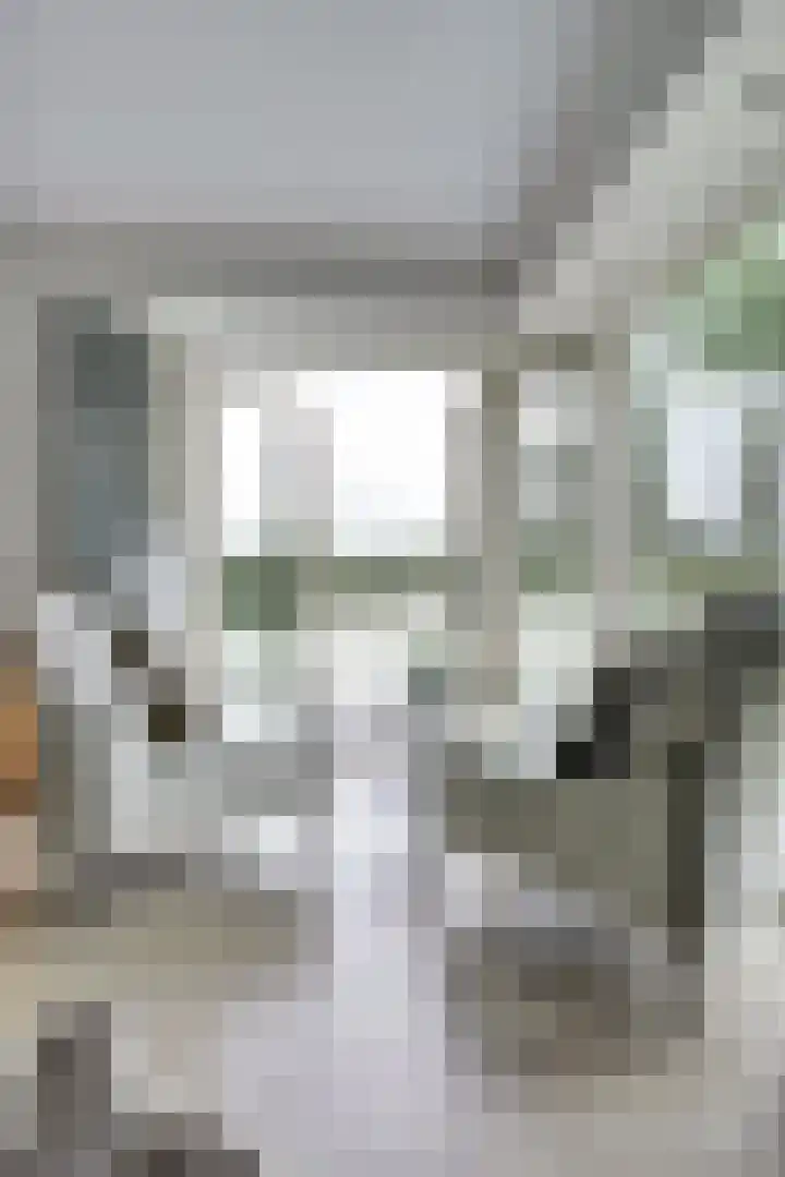 Raakeindse Kerkweg 71 b44 Molenschot thumbnail 11