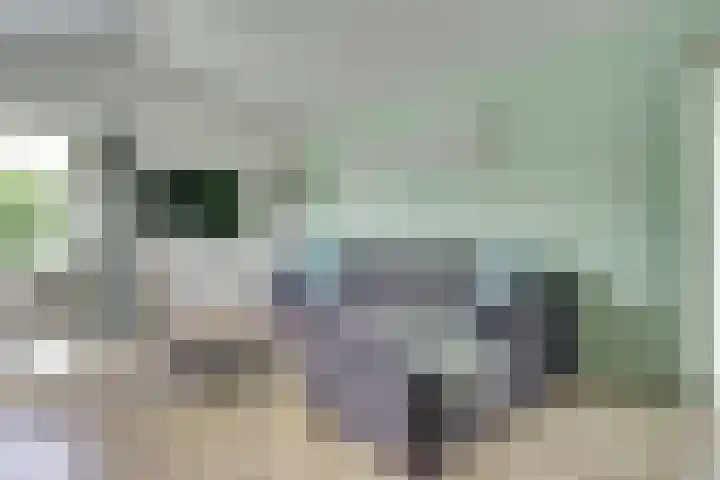 Raakeindse Kerkweg 71 b44 Molenschot thumbnail 13