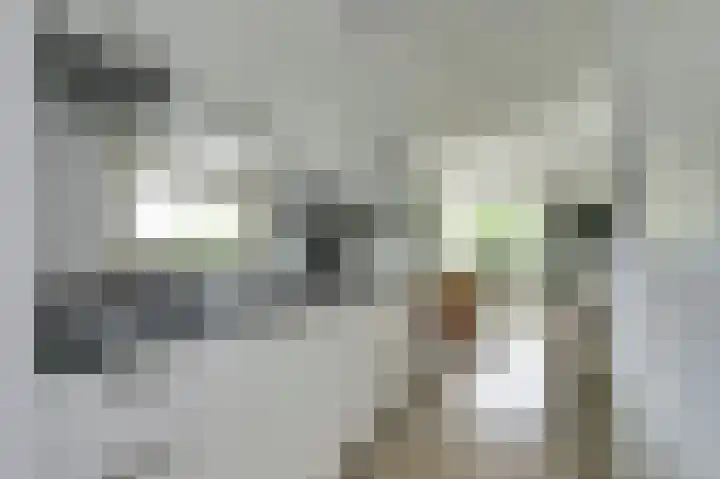 Raakeindse Kerkweg 71 b44 Molenschot thumbnail 18