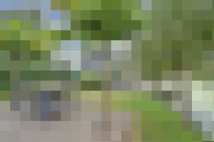 Raakeindse Kerkweg 71 b44 Molenschot thumbnail 33