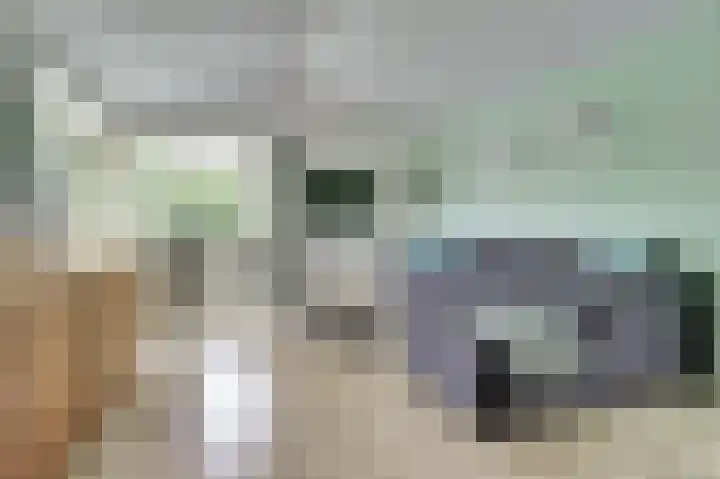 Raakeindse Kerkweg 71 b44 Molenschot thumbnail 9