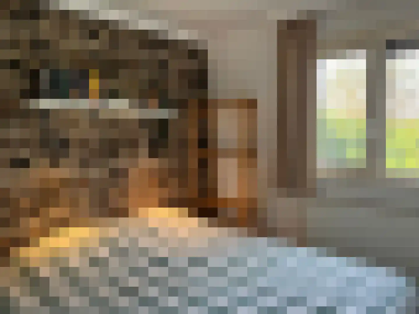 Raakeindse Kerkweg 71 b46 Molenschot thumbnail 12
