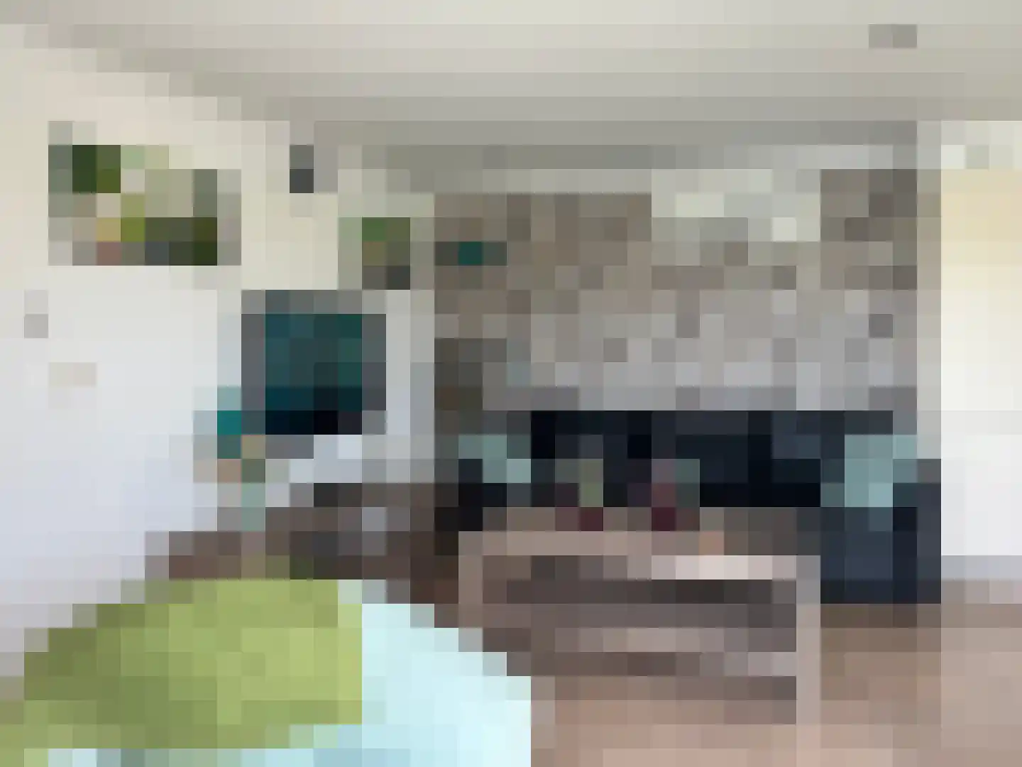 Raakeindse Kerkweg 71 b46 Molenschot thumbnail 9