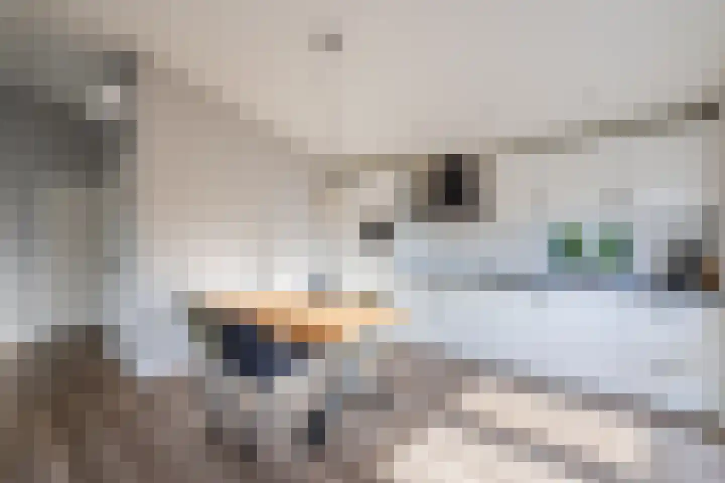 Raakeindse Kerkweg 71 b52 Molenschot thumbnail 13