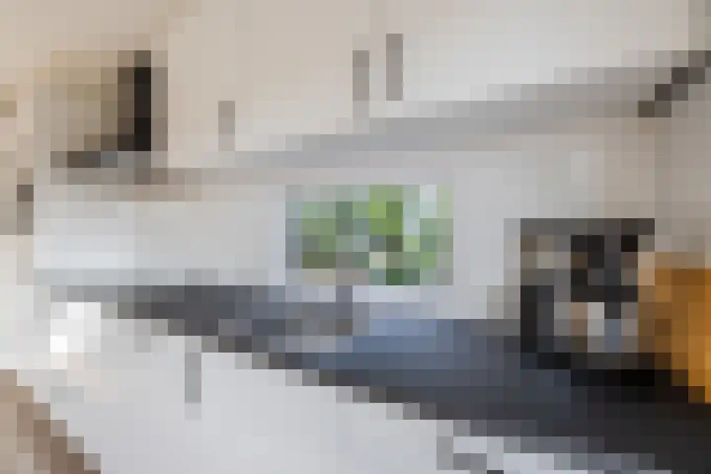 Raakeindse Kerkweg 71 b52 Molenschot thumbnail 14