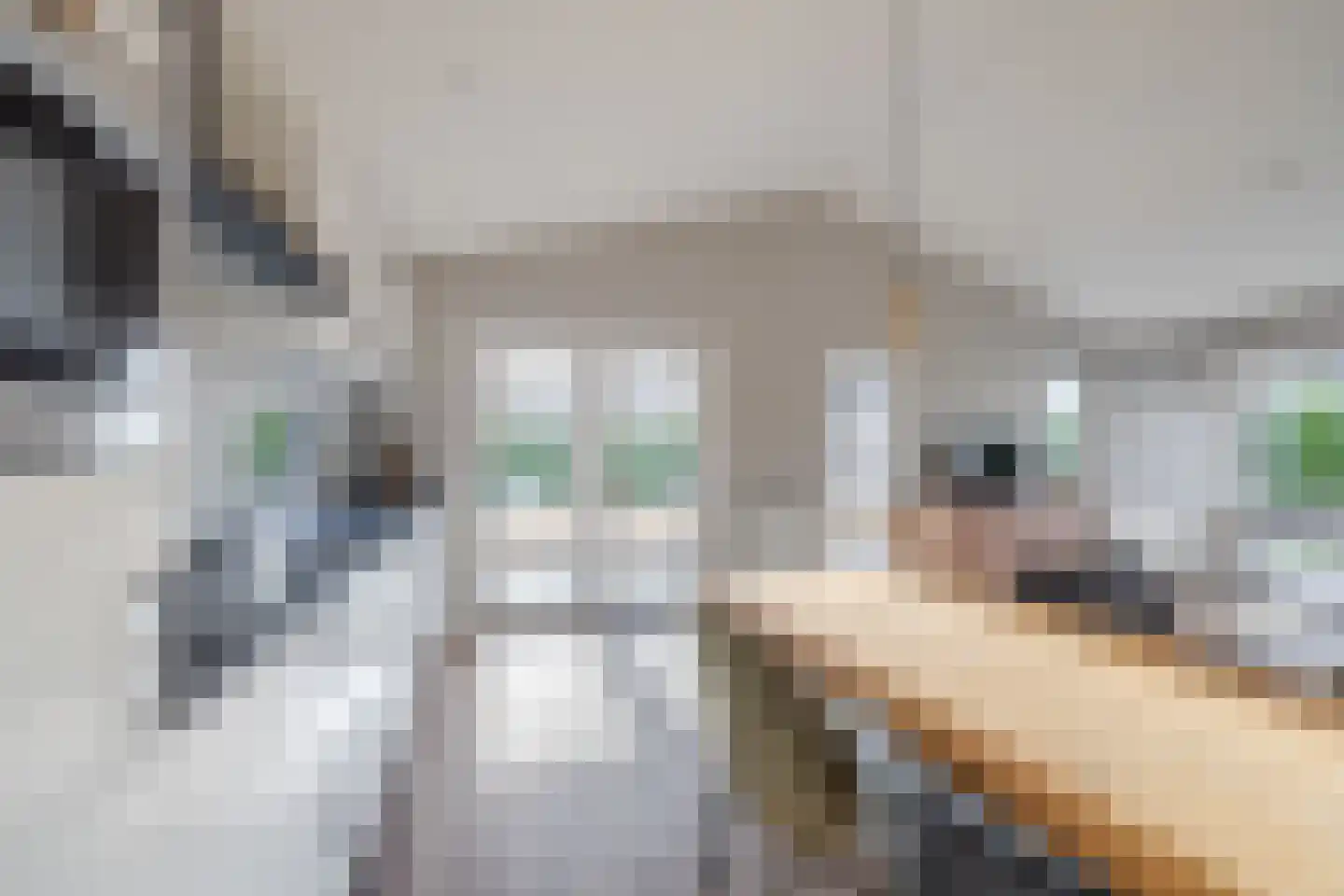Raakeindse Kerkweg 71 b52 Molenschot thumbnail 16