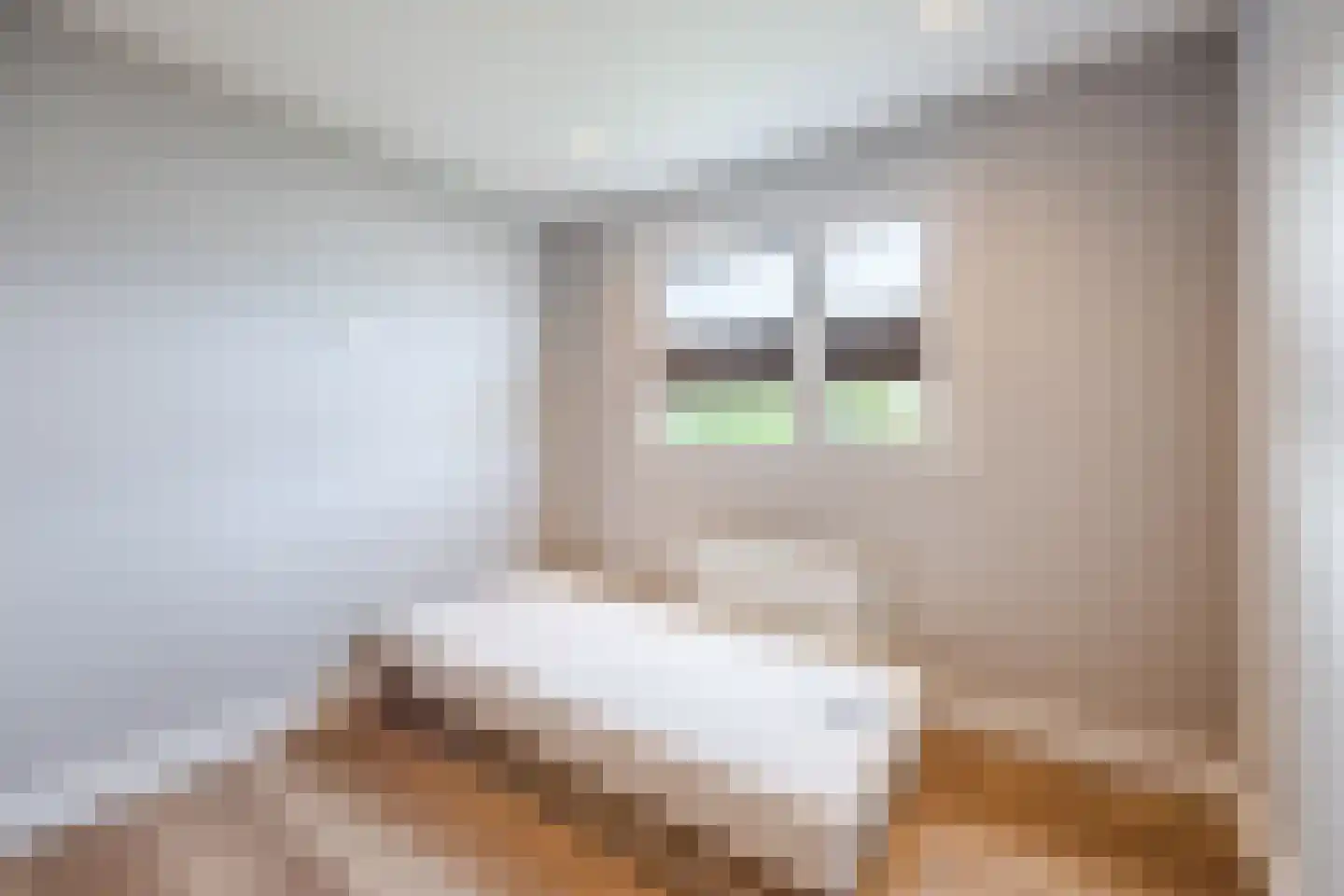 Raakeindse Kerkweg 71 b52 Molenschot thumbnail 19