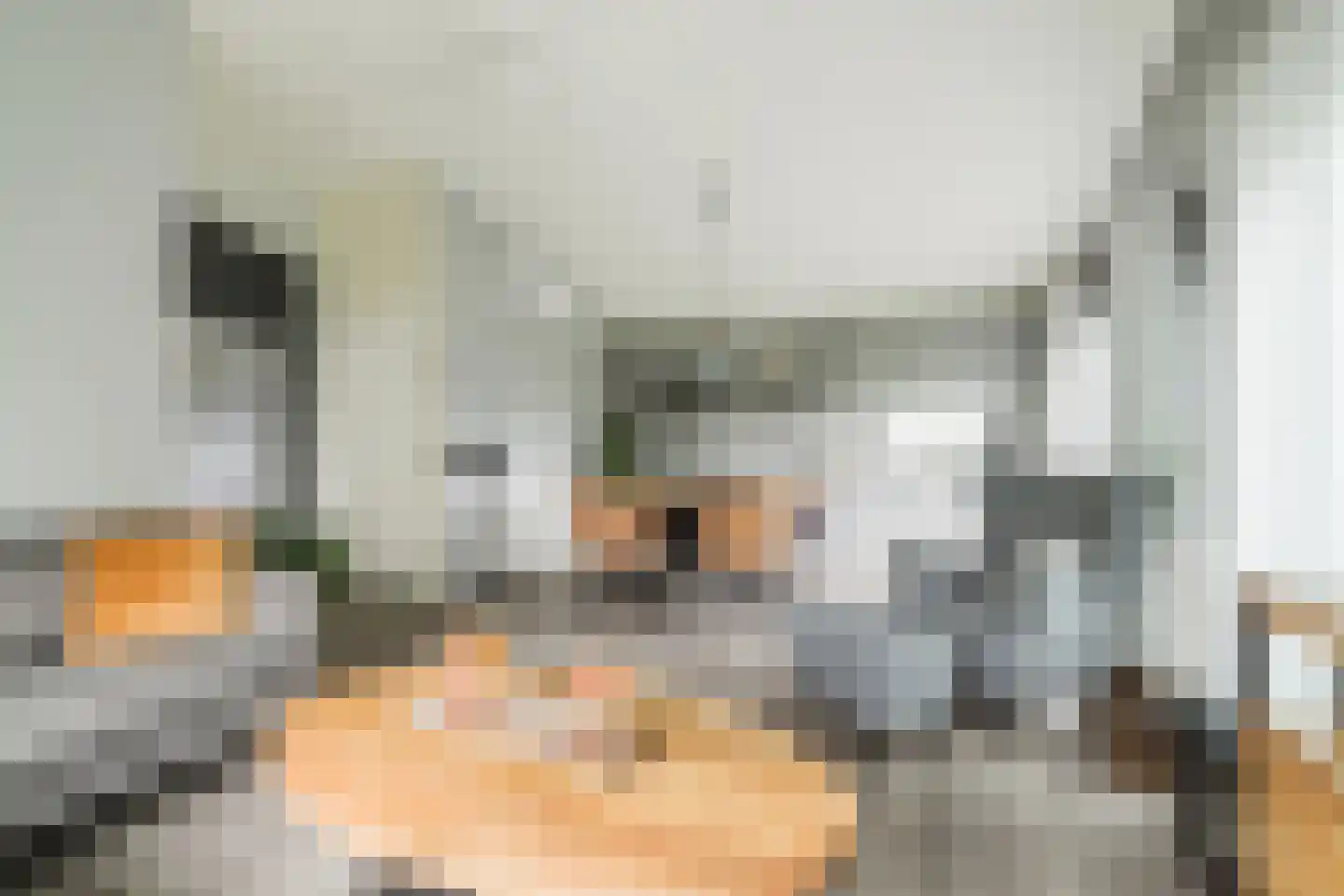 Raakeindse Kerkweg 71 b67 Molenschot thumbnail 14