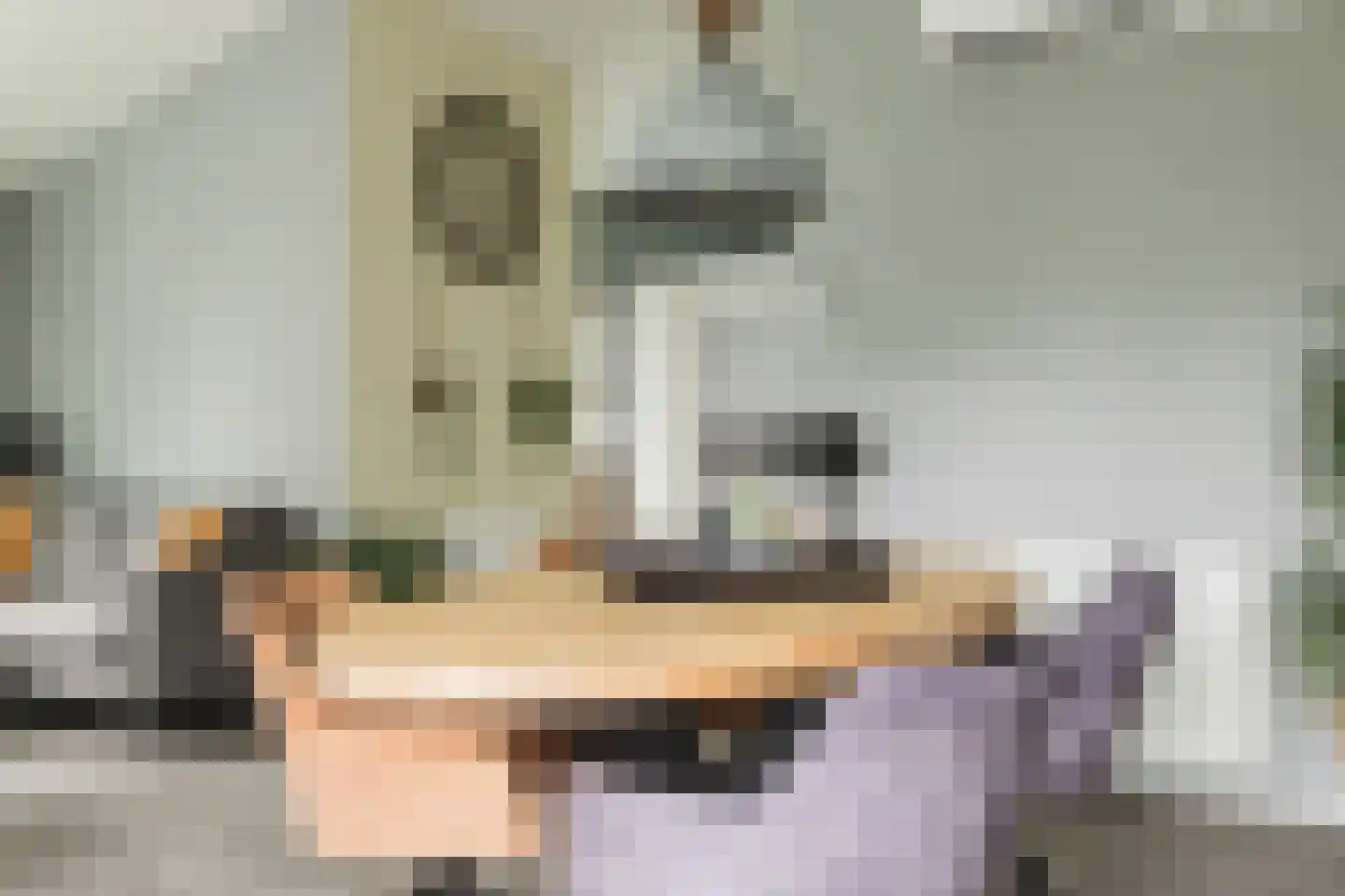 Raakeindse Kerkweg 71 b67 Molenschot thumbnail 15
