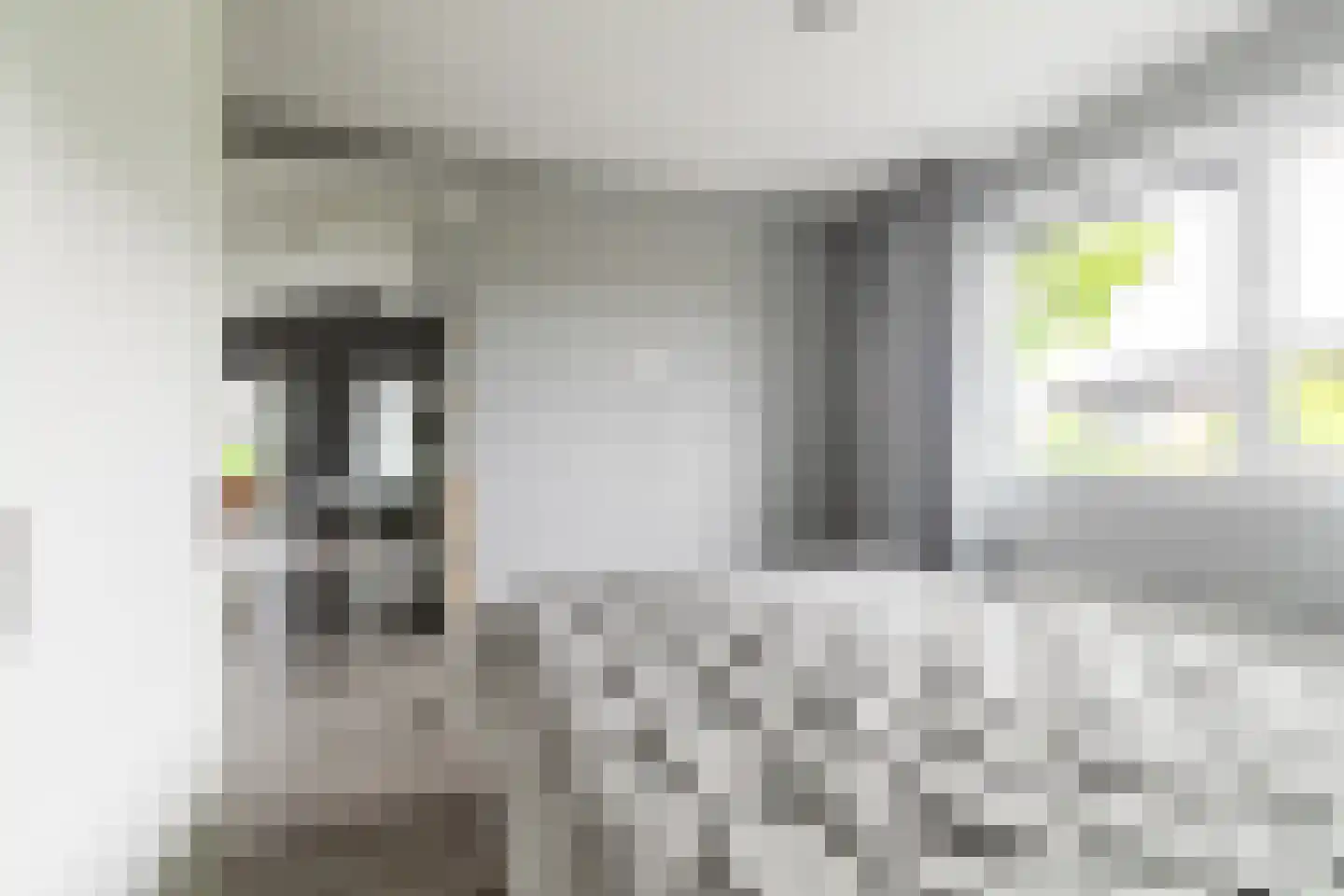 Raakeindse Kerkweg 71 b67 Molenschot thumbnail 19