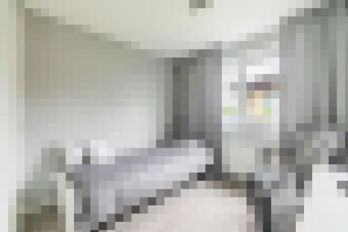 Raakeindse Kerkweg 71 b67 Molenschot thumbnail 20
