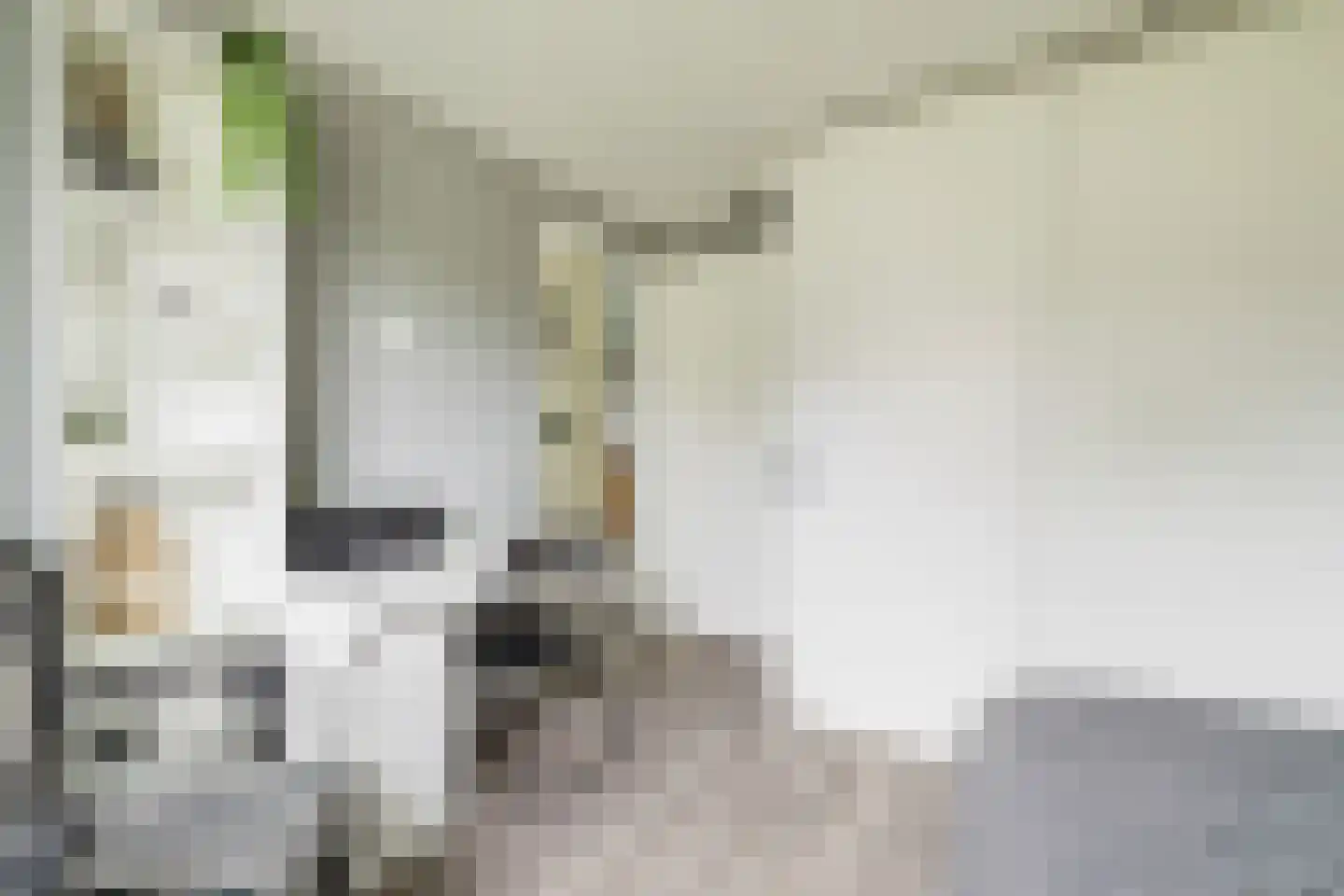 Raakeindse Kerkweg 71 b67 Molenschot thumbnail 21