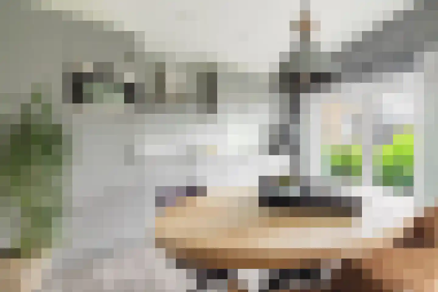 Raakeindse Kerkweg 71 b67 Molenschot thumbnail 4