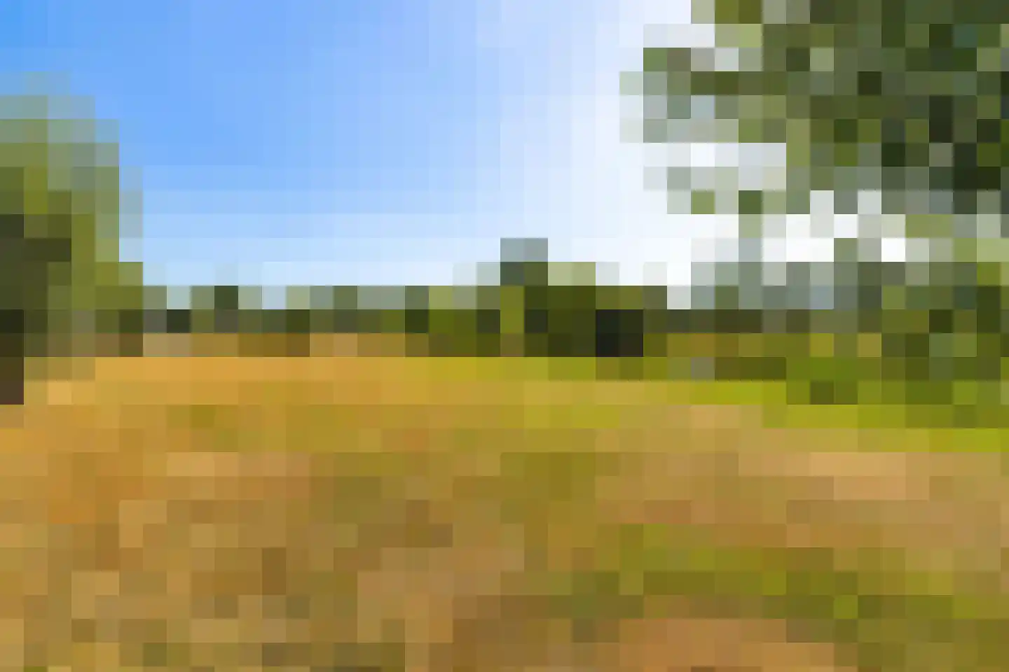 Raakeindse Kerkweg 71 b67 Molenschot thumbnail 40