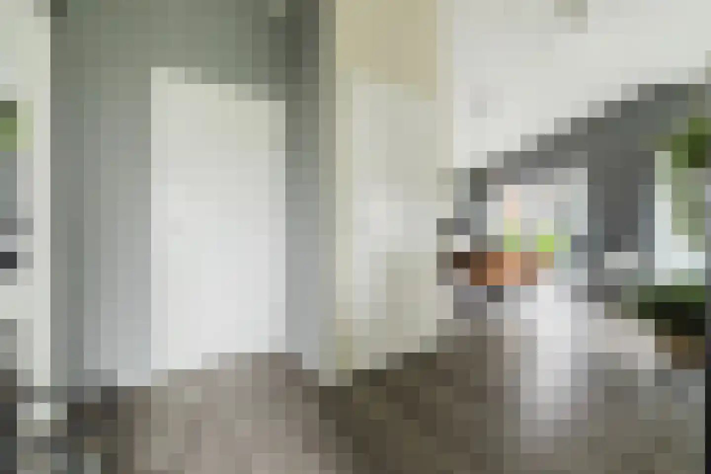 Raakeindse Kerkweg 71 b67 Molenschot thumbnail 9