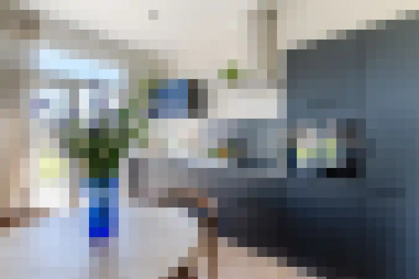 Raakeindse Kerkweg 71 b69 Molenschot thumbnail 15