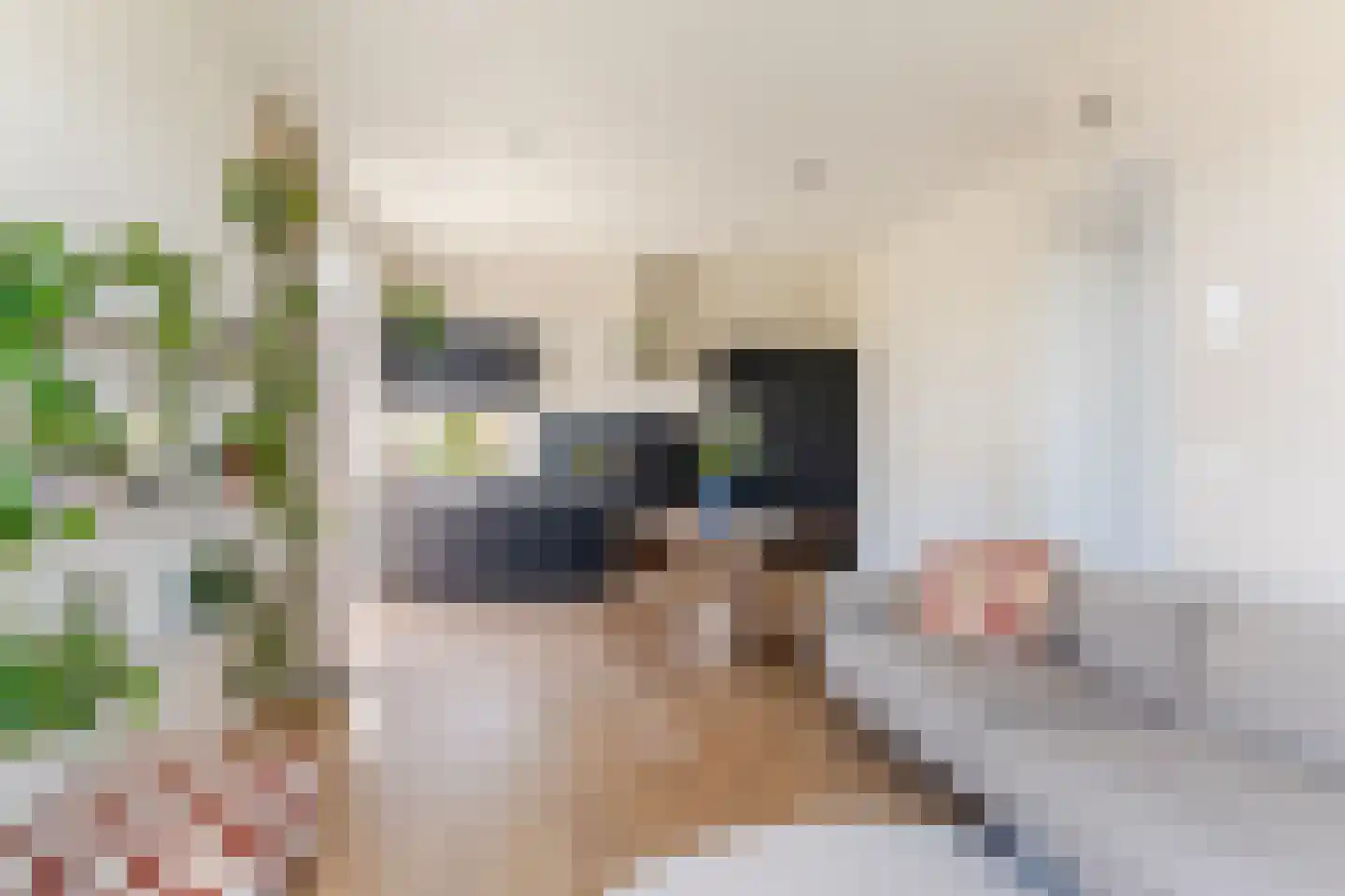 Raakeindse Kerkweg 71 b69 Molenschot thumbnail 5