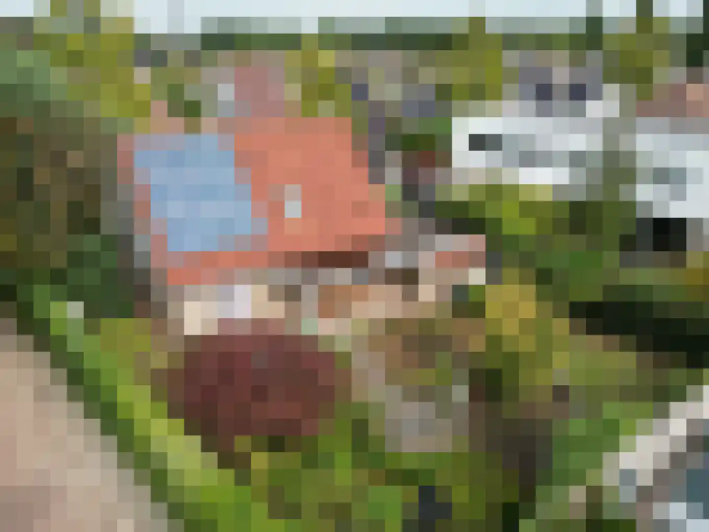 Raakheuvel 13 in Best