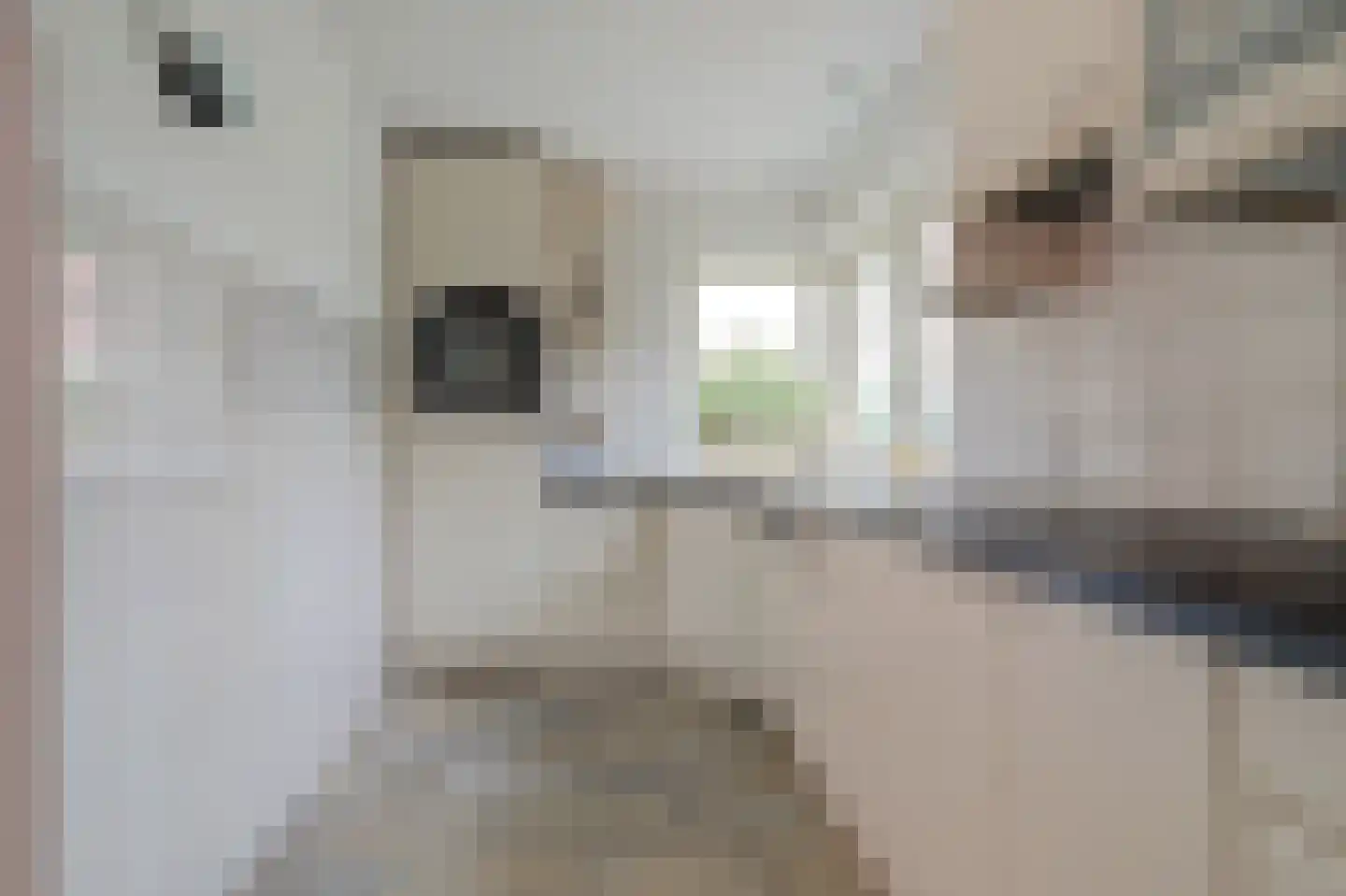Raakheuvel 13 Best thumbnail 13