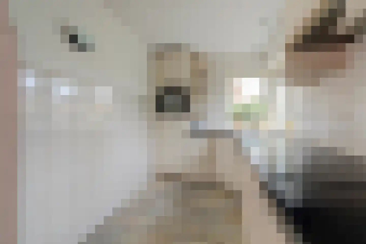 Raakheuvel 13 Best thumbnail 14