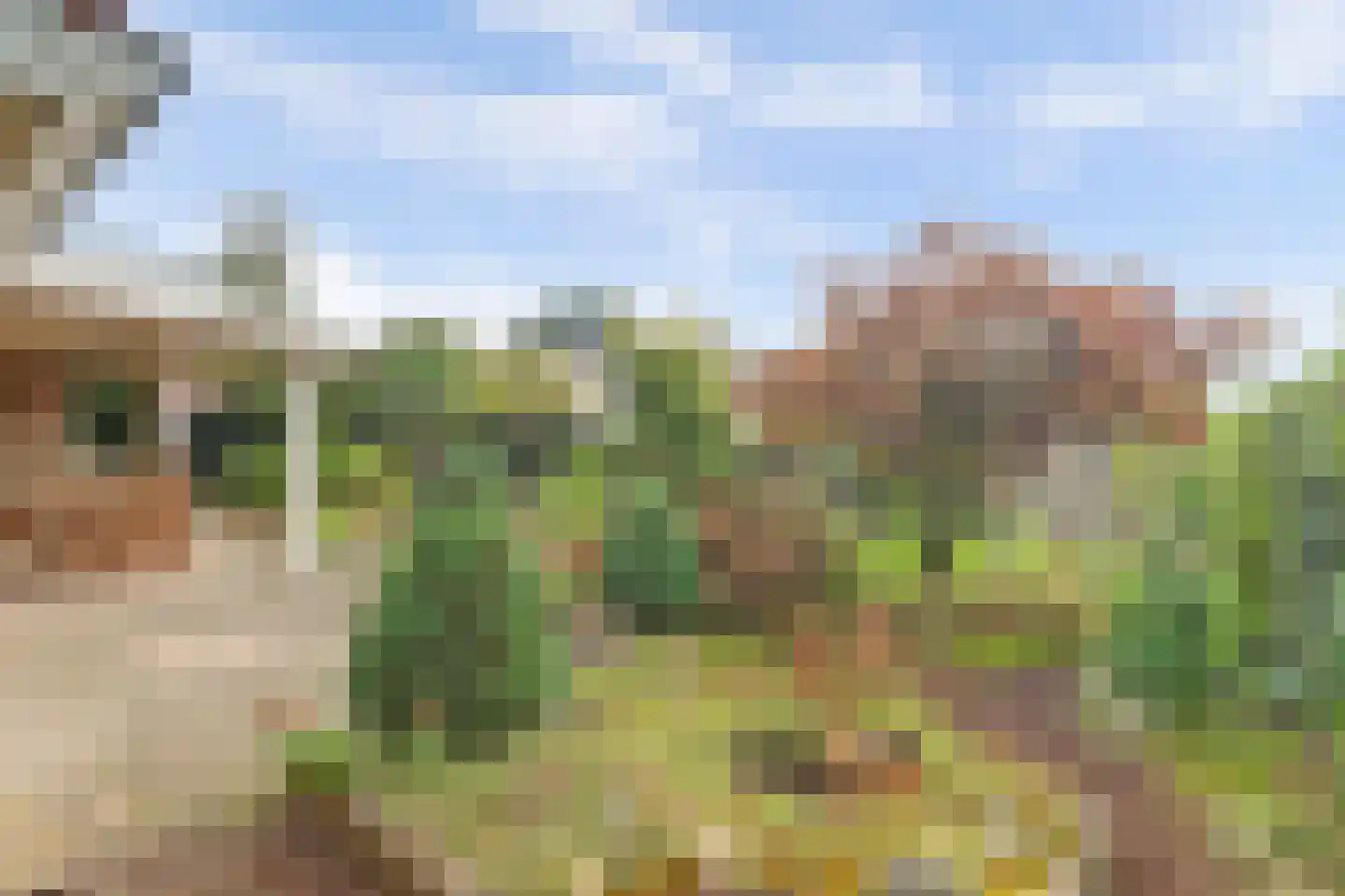 Raakheuvel 13 Best thumbnail 29