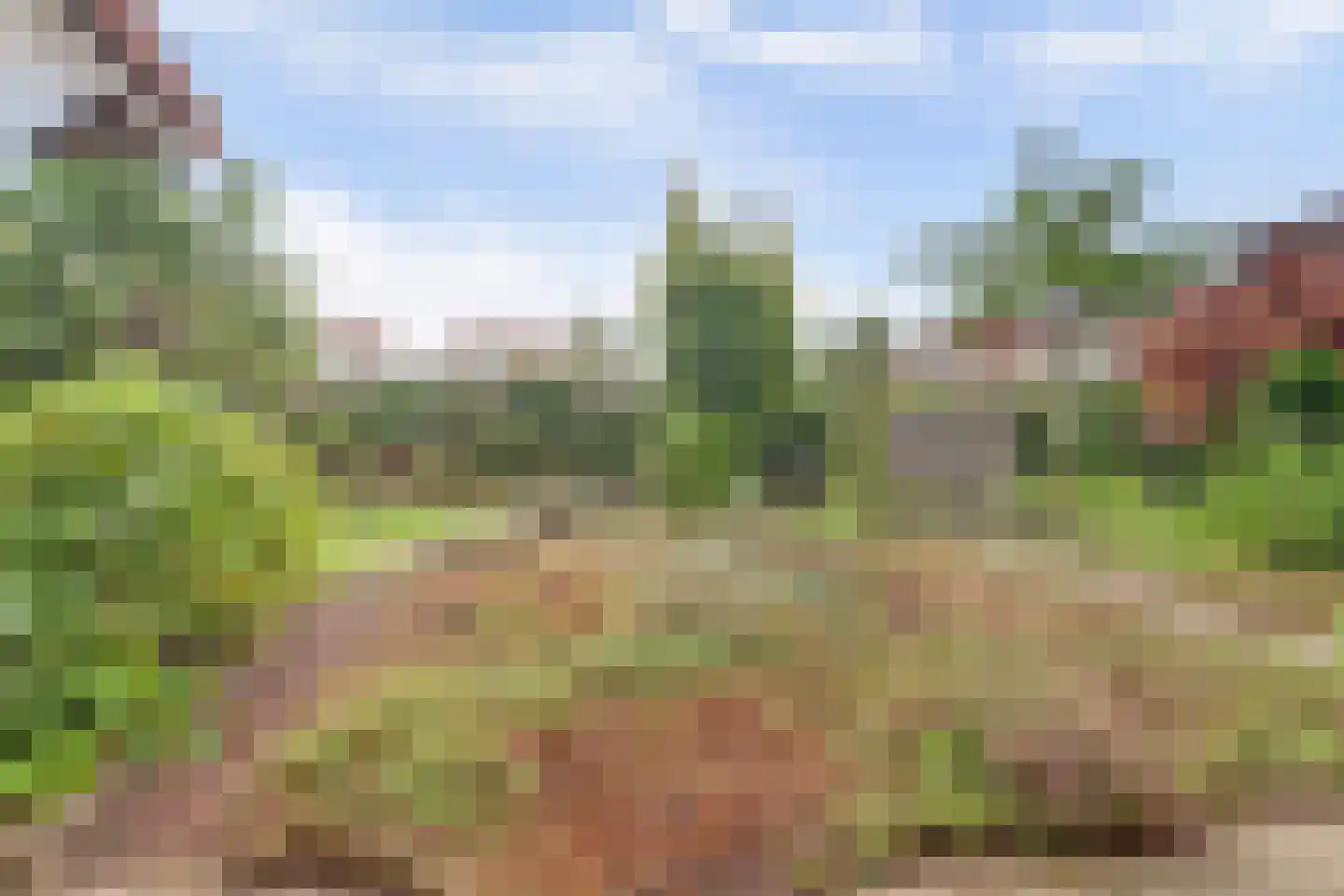 Raakheuvel 13 Best thumbnail 30