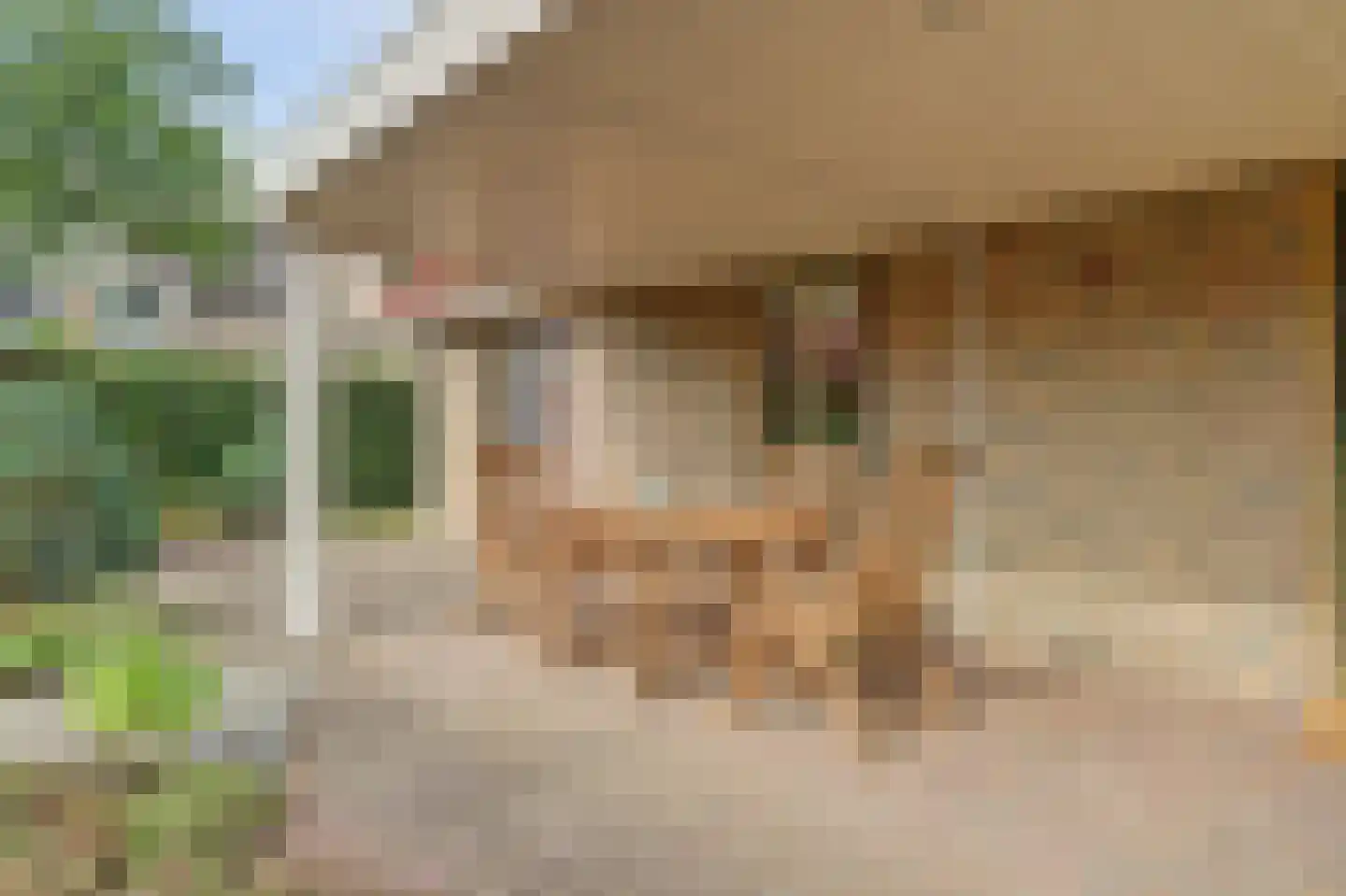Raakheuvel 13 Best thumbnail 33