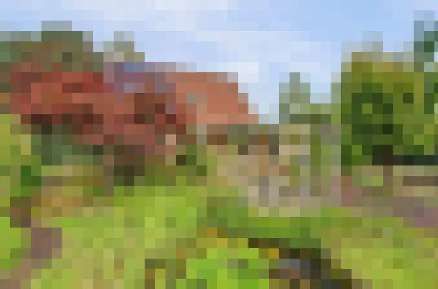 Raakheuvel 13 Best thumbnail 34