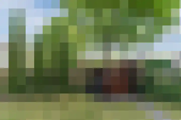 Raakheuvel 3 Best thumbnail 45