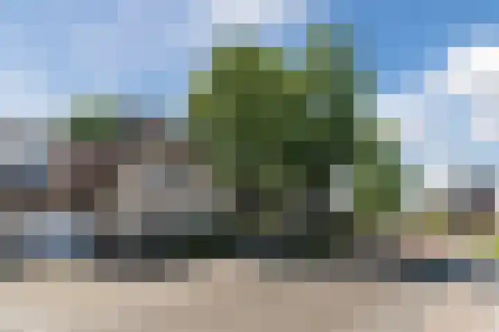 Raakheuvel 3 Best thumbnail 50
